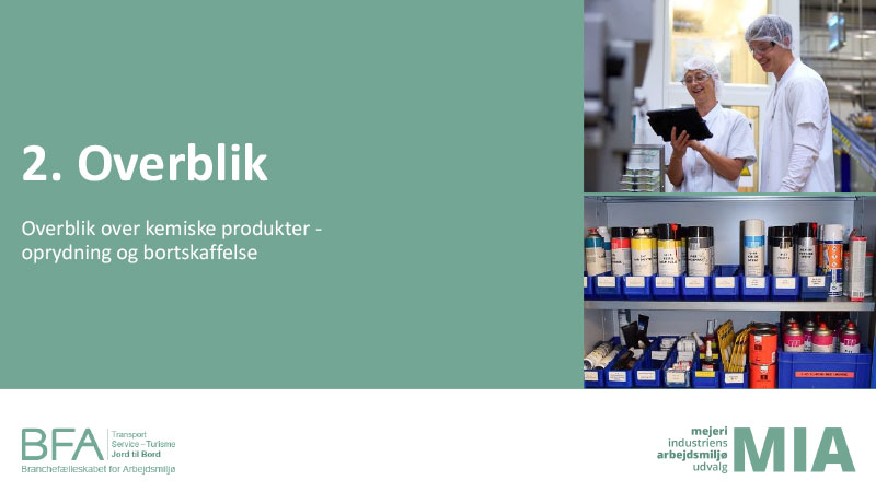 2: Overblik (PDF)