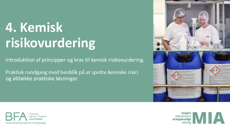 4: Kemisk risikovurdering (PDF)