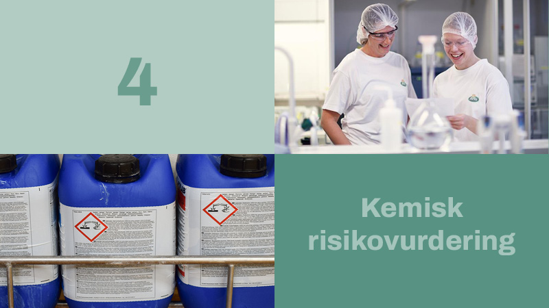 4: Kemisk risikovurdering