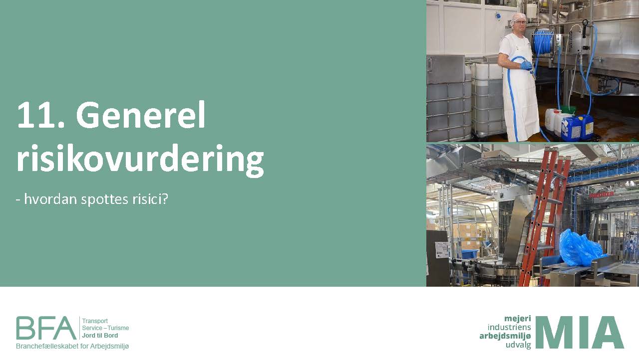 11. Generel risikovurdering (PDF)