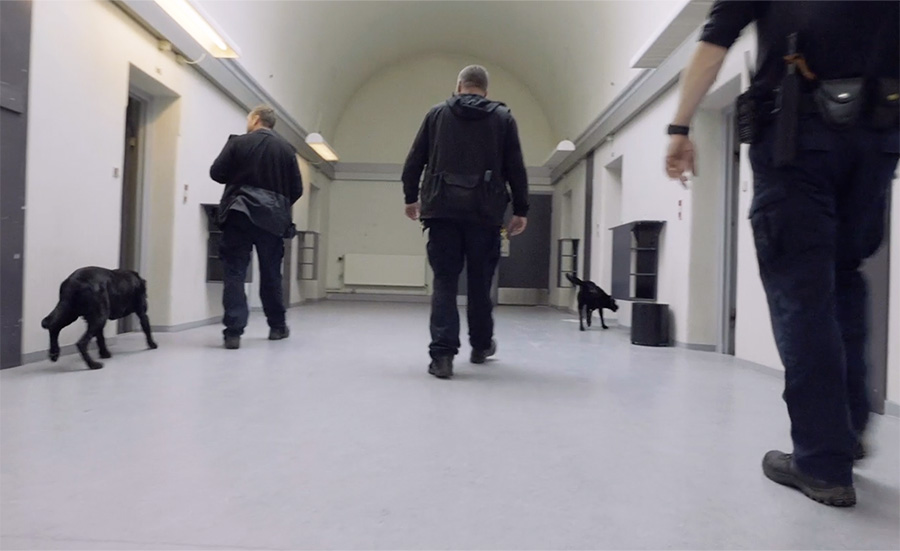 Med hunden som sporingsredskab
