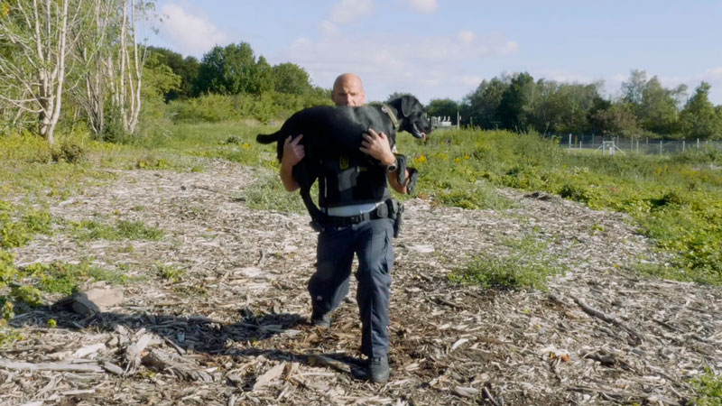 Fysisk træning med hund