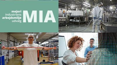 Nyhedbrev 2025, nr. 3