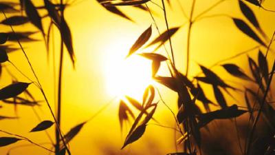 Natarbejde og helbredskontrol