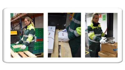 Arbejdspladsens indretning - underfaktaark